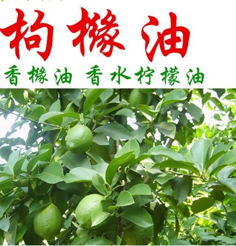 香橼精油_香甜迷人的果香味有魔力(香櫞精油魔力)