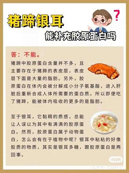猪蹄中的胶原蛋白到底能不能美容?胶原蛋白与工业明胶一样吗?(膠原蛋白豬蹄美容)