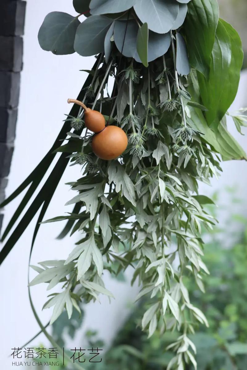 端午挂在门楣上的艾草_竟有这么多美容功效！(艾草功效美容)