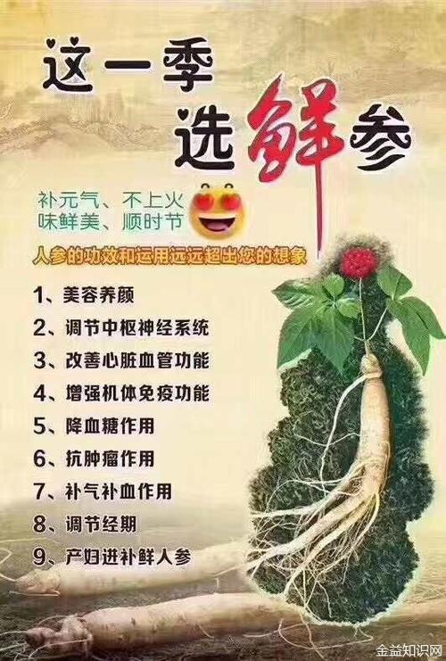 人参美容功效显著_内服外用皆有良方可用(人參美容外敷)