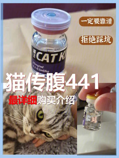 眉山最“牛”宠物医生哪家强??爱宠人员谨防踩雷(醫生牛奶謹防)