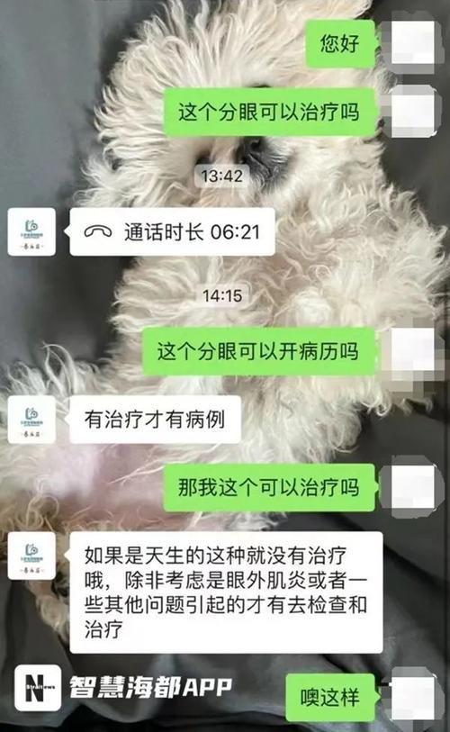 宠物美容店损失13万元_下黑手的竟是他(李女士新民晚報朱某)