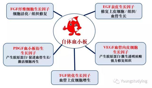 第3讲 PRP在哪些学科哪些疾病应用最有前景?(血漿血小板學科)