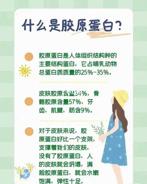 一份胶原蛋白的使用指南(尿酸膠原蛋白膠原)