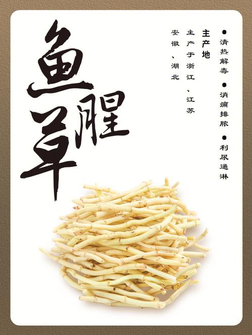 为什么有人把鱼腥草称作全能保健师？(魚腥草功效是有)