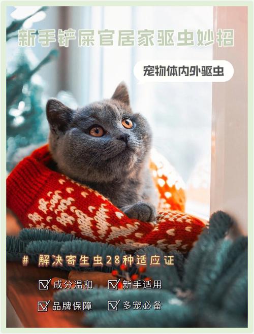 宠物的居家美容大忌_铲屎官们中招了吗？(寵物大忌居傢)