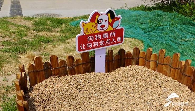 文明养宠新手段 潍坊青州市街头现“宠物厕所”(寵物便便便池)