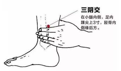 每个人身上都有着巨大财富_三阴交穴就是你的美容财富！(財富穴位美容)